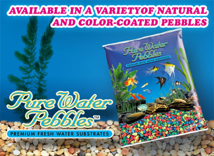 Available in a variety of colors